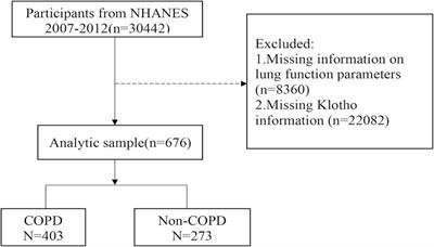 Association between α-klotho levels and adults with COPD in the United States